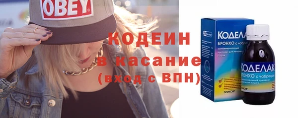гидра Арсеньев