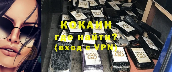 гидра Арсеньев