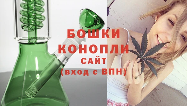 гидра Арсеньев