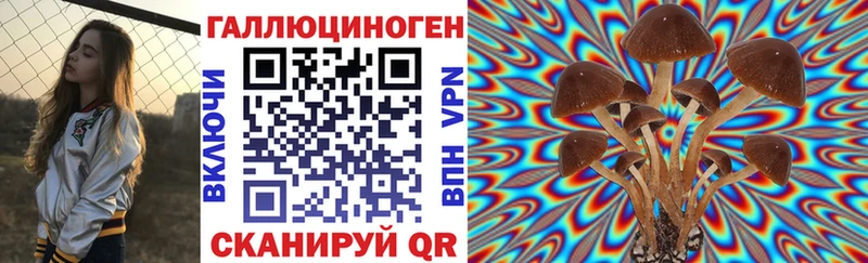 мега маркетплейс  даркнет сайт  Ногинск  Галлюциногенные грибы Psilocybine cubensis 